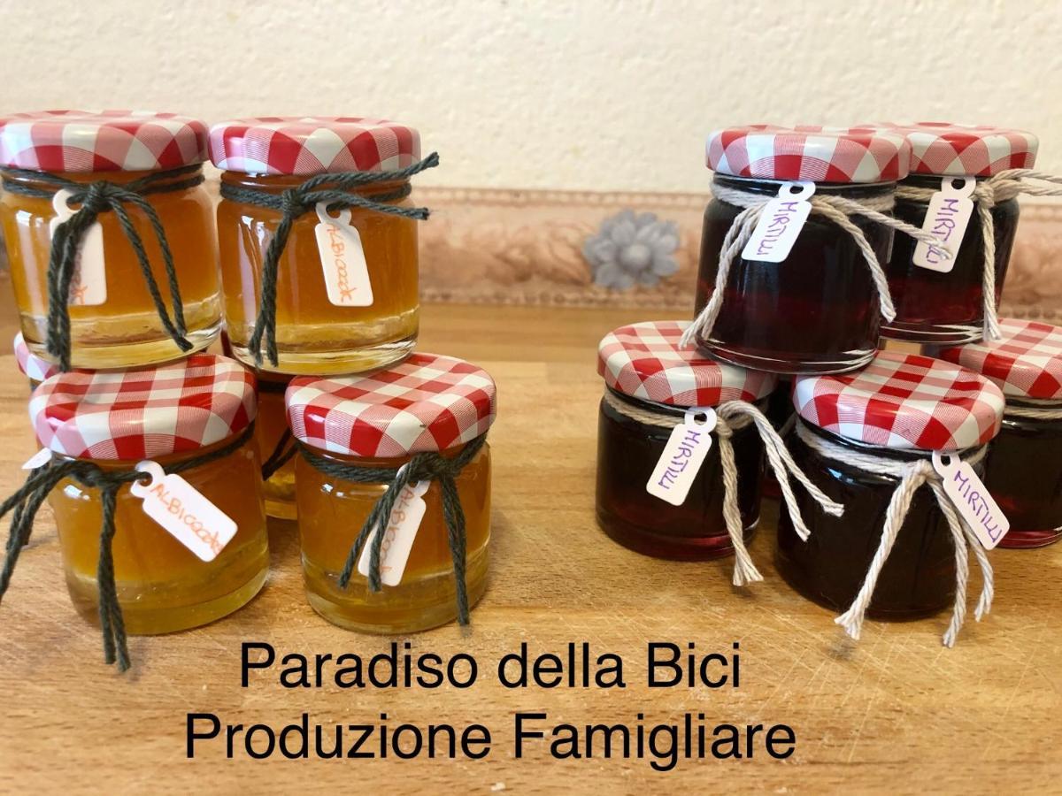 Paradiso Della Bici Morbegno Exterior photo